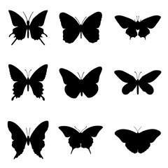 Wall Mural - Butterfly Vector Silhouette Set