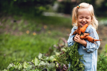 adorable toddler smiling blonde girl holding carrots in domestic garden. healthy organic vegetables 