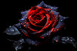 A beautiful rose with black and red colors on a dark background created with Generative AI technology

