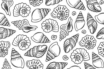 Poster - Line art seamless pattern with outline shells and mollusks. Linear illustrations with underwater creatures in black and white colors.