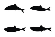 Silhouette Fish Vector Eps 10