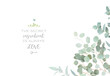 © lavendertime - Herbal eucalyptus selection vector frame. Hand painted branches, leaves on white background