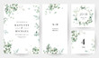 Herbal eucalyptus selection vector frames. Hand painted branches, leaves on white background. Greenery wedding