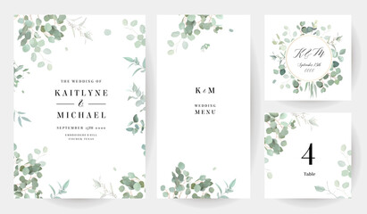 herbal eucalyptus selection vector frames. hand painted branches, leaves on white background. greene