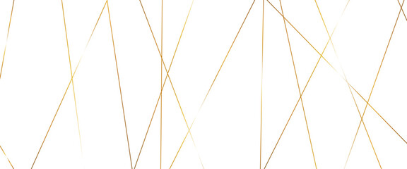 luxury banner presentation gold line background, abstract white gray colors with gold lines pattern 