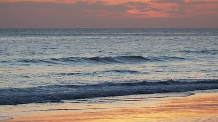 Wall Mural - beautiful evening sunset in the atlantic ocean at portugal coast.