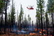 Helicopter flying over wildfire forest fire.