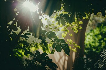 Poster - sunlight filtering through tree leaves in a forest. Generative AI