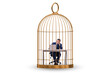 © Elnur - Businessman caught in the cage