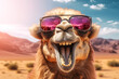 A happy laughing camel looking into the camera in front of a sahara desert landscape, created with generative ai