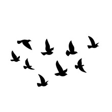 Flying Bird Silhouette. Vector Illustration. A Flock Of Flying Birds. Tattoo Design