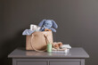© New Africa - Mother's bag with baby's stuff on commode near gray wall