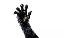 Furry Scary Monster  Werewolf Paw