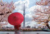 Fototapeta  - Tokyo skytree tower with sakura pink cherry blossom flower on spring season