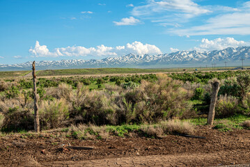 Utah landscape mountains and plants outdoors.