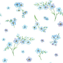 Seamless Pattern With Blue Forget-me-nots. Summer Flowers Scorpion Grass, Myosotis. Hand Draw Watercolor Illustration For Packaging, Textile, Web Pages, Wedding Invitations, Greeting Cards