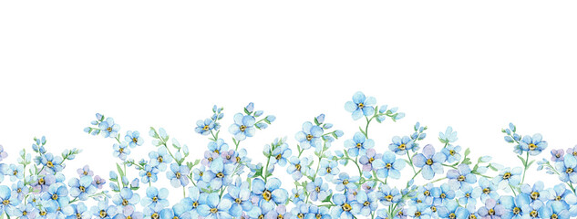 blue forget-me-nots seamless border. summer flowers scorpion grass, myosotis. hand draw watercolor i