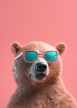 Creative Animal Concept. Brown Bear In Sunglass Shade Glasses Isolated On Solid Pastel Background, Commercial, Editorial Advertisement, Surreal Surrealism. 