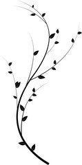 Branch with leaves