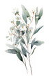 © tilialucida - A watercolor painting of eucalyptus leaves and flowers. Generative AI.