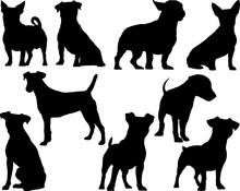 Set Of Jack Russel Terrier Dogs Silhouette