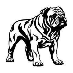 Poster - bulldog cartoon on white background illustration