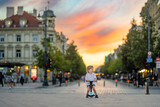 Fototapeta  - Funny toddler boy riding a baby scooter outdoors on summer day. Kid training balance on mini bike. Summer activities for kids.