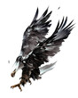a painted colored attacking eagle on a white background