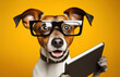Surprised shocked jack russell terrier dog in glasses holding digital tablet, over orange background, studio portrait. AI generative