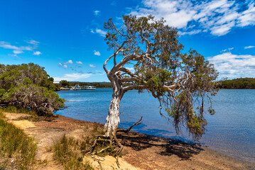 Houseboats on the Blackwood River. An iconic destination in Australia's South West, Augusta region on the Hardy Inlet.