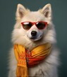 funny samoyed dog wearing scarf and sunglasses. created with generative AI technology