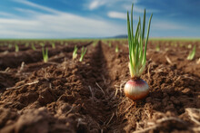 Cultivated Onion Field, Earth Day Concept, Plant In The Ground, Green World. Generative Ai