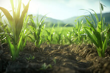 Cultivated Sugarcane Field, Earth Day Concept, Plant In The Ground, Green World. Generative Ai