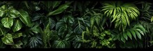 Herb Wall, Plant Wall, Natural Green Wallpaper And Background., AI Generated.