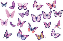 Collection Of Butterflies On Isolated White Background.watercolor Butterfly Png Collection.Butterflies Clipart Set , Watercolor Illustration.Decoration Elements Vector.