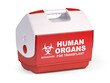 © Maksym Yemelyanov - Human organ for transplant refrigerator box isolated on white. 3d illustration