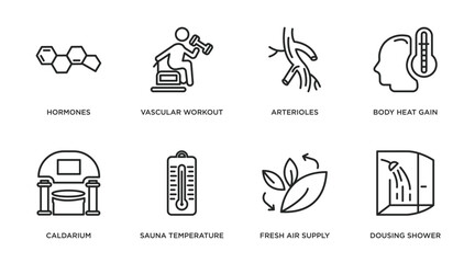 Wall Mural - sauna outline icons set. thin line icons such as hormones, vascular workout, arterioles, body heat gain, caldarium, sauna temperature, fresh air supply, dousing shower vector.