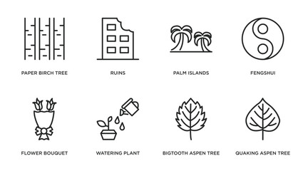 Poster - nature outline icons set. thin line icons such as paper birch tree, ruins, palm islands, fengshui, flower bouquet, watering plant, bigtooth aspen tree, quaking aspen tree vector.