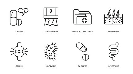 Poster - medical outline icons set. thin line icons such as drugs, tissue paper, medical records, epidermis, femur, microbe, tablets, intestine vector.
