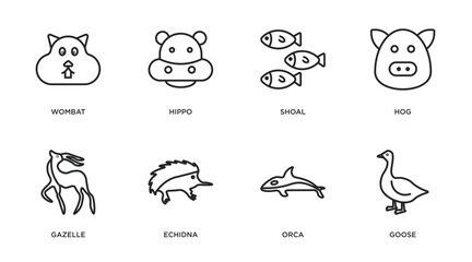Poster - animals outline icons set. thin line icons such as wombat, hippo, shoal, hog, gazelle, echidna, orca, goose vector.