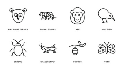 Wall Mural - animals outline icons set. thin line icons such as philippine tarsier, snow leopard, ape, kiwi bird, bedbug, grasshopper, cocoon, moth vector.