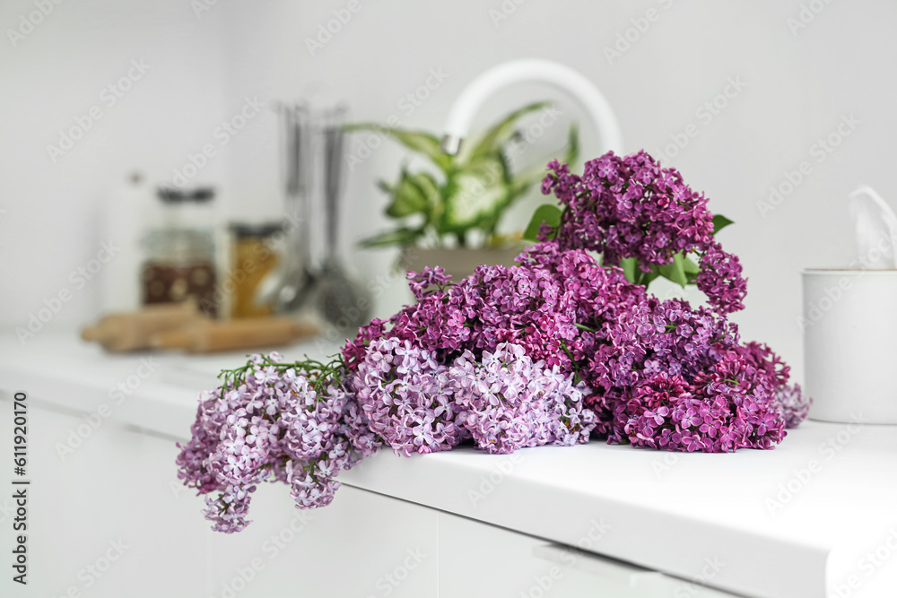 Lilac flowers near sink on counter in kitchen, closeup