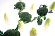 Broccoli on white background. Fresh vegetables.
