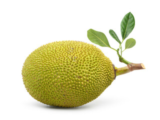 Wall Mural - Jackfruit with leaves isolated on white background. Clipping path.