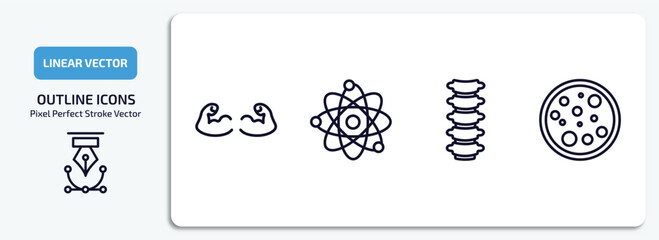 Poster - medical outline icons set. medical thin line icons pack included strong, atomic structure, spinal column, cells in a circle vector.