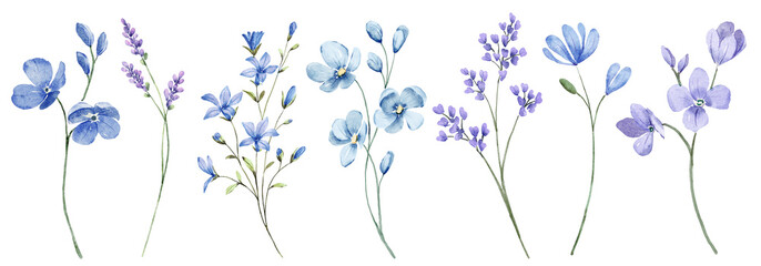 Blue flowers digital illustration, summer design, watercolor hand painting. Perfectly for printing, sublimation.	