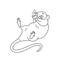 Wall Mural - vector isolated one single cute cartoon rat mouse lying on back and eating colorless black and white