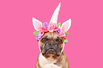 Wall Mural - French Bulldog dog wearing unicorn costume headband with flowers in front of pink background