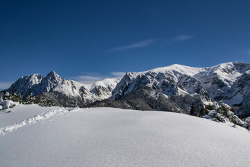 Fototapeta tatry zima góry w śniegu, giewont, czerwone wierchy, przecierać szlak, ścieżka, kościelisko, zakopane