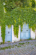 Beautiful doors and vines , in Montmartre, in Paris, France. 